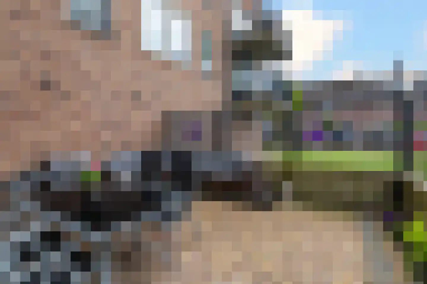 Fie Carelsenlaan 10 Den Haag thumbnail 15