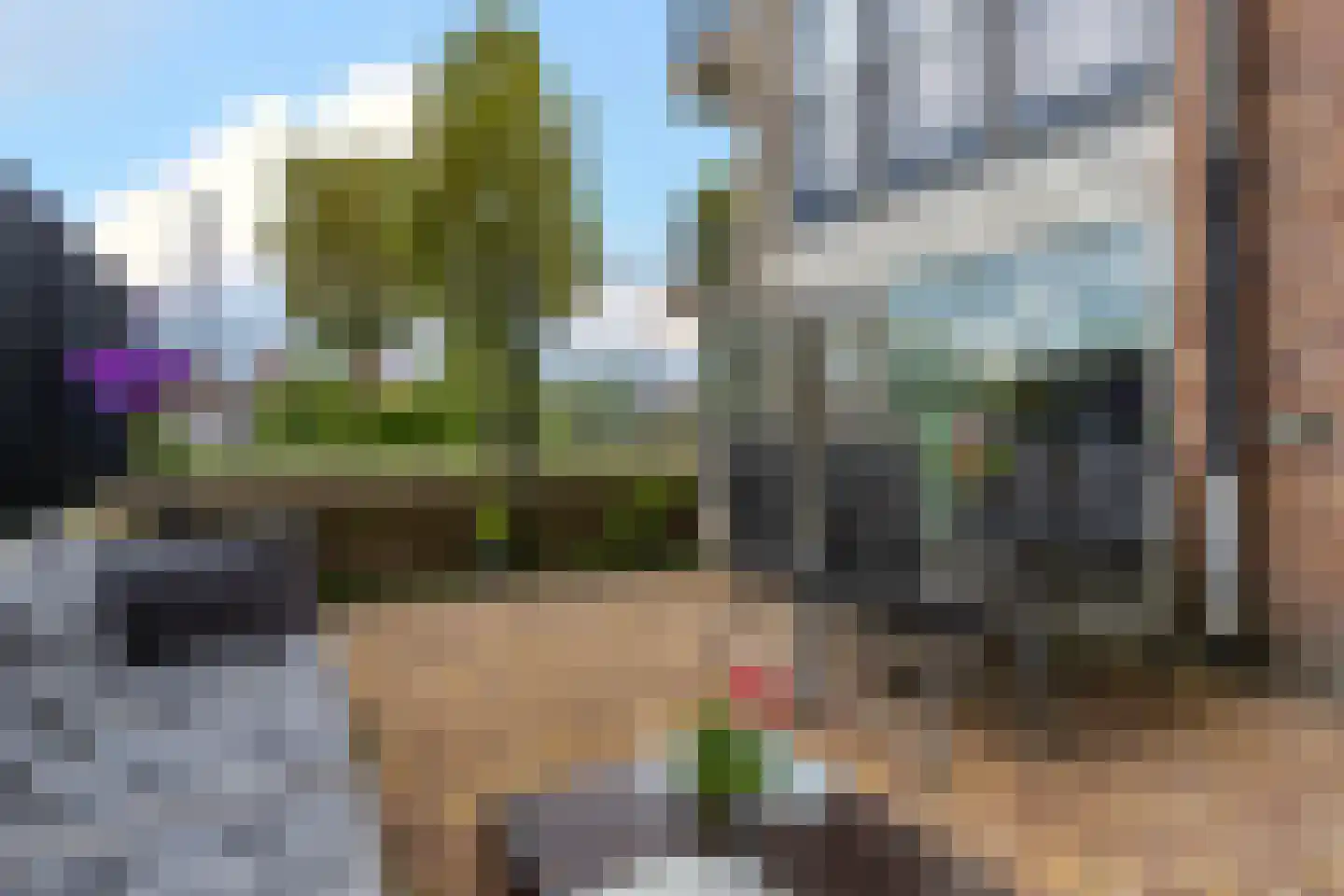 Fie Carelsenlaan 10 Den Haag thumbnail 16