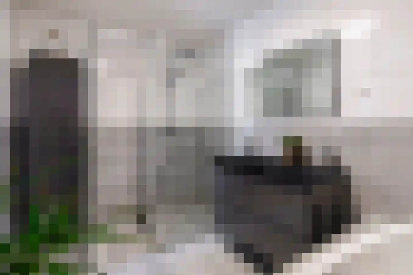 Fie Carelsenlaan 10 Den Haag thumbnail 17