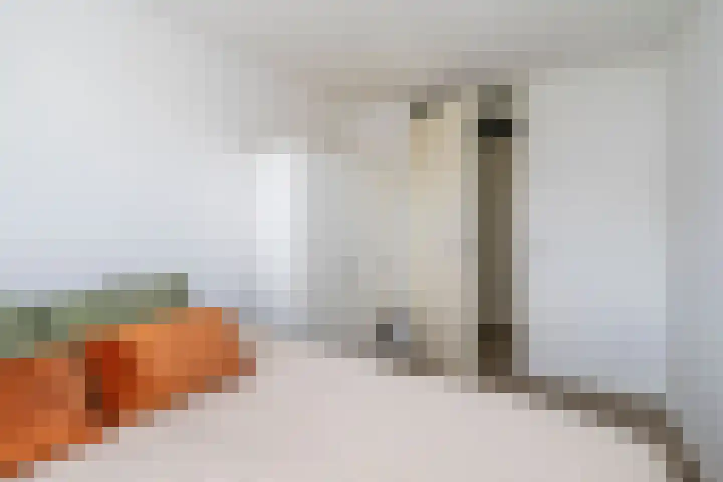 Fie Carelsenlaan 10 Den Haag thumbnail 24