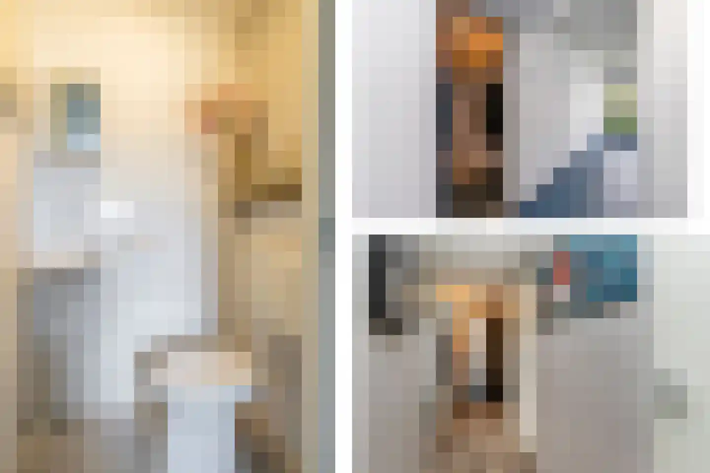 Fie Carelsenlaan 10 Den Haag thumbnail 25