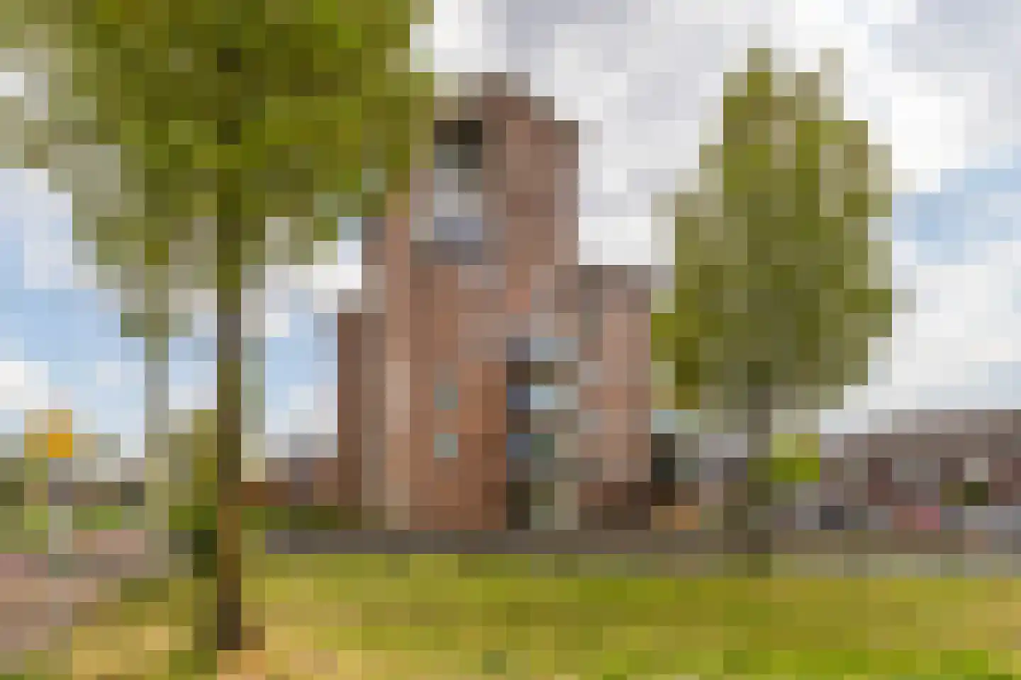 Fie Carelsenlaan 10 Den Haag thumbnail 31