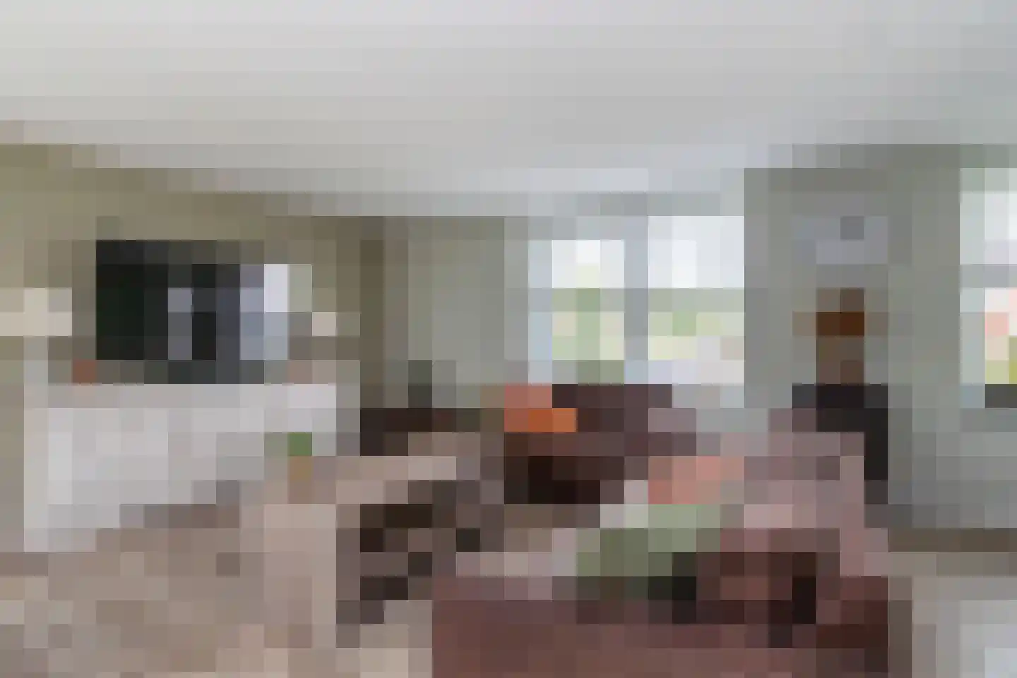 Fie Carelsenlaan 10 Den Haag thumbnail 7
