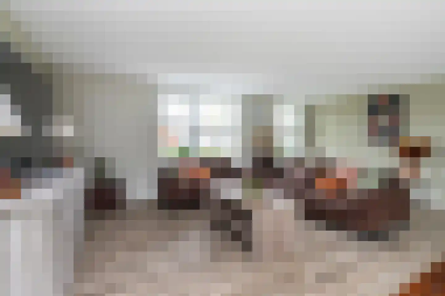 Fie Carelsenlaan 10 Den Haag thumbnail 8