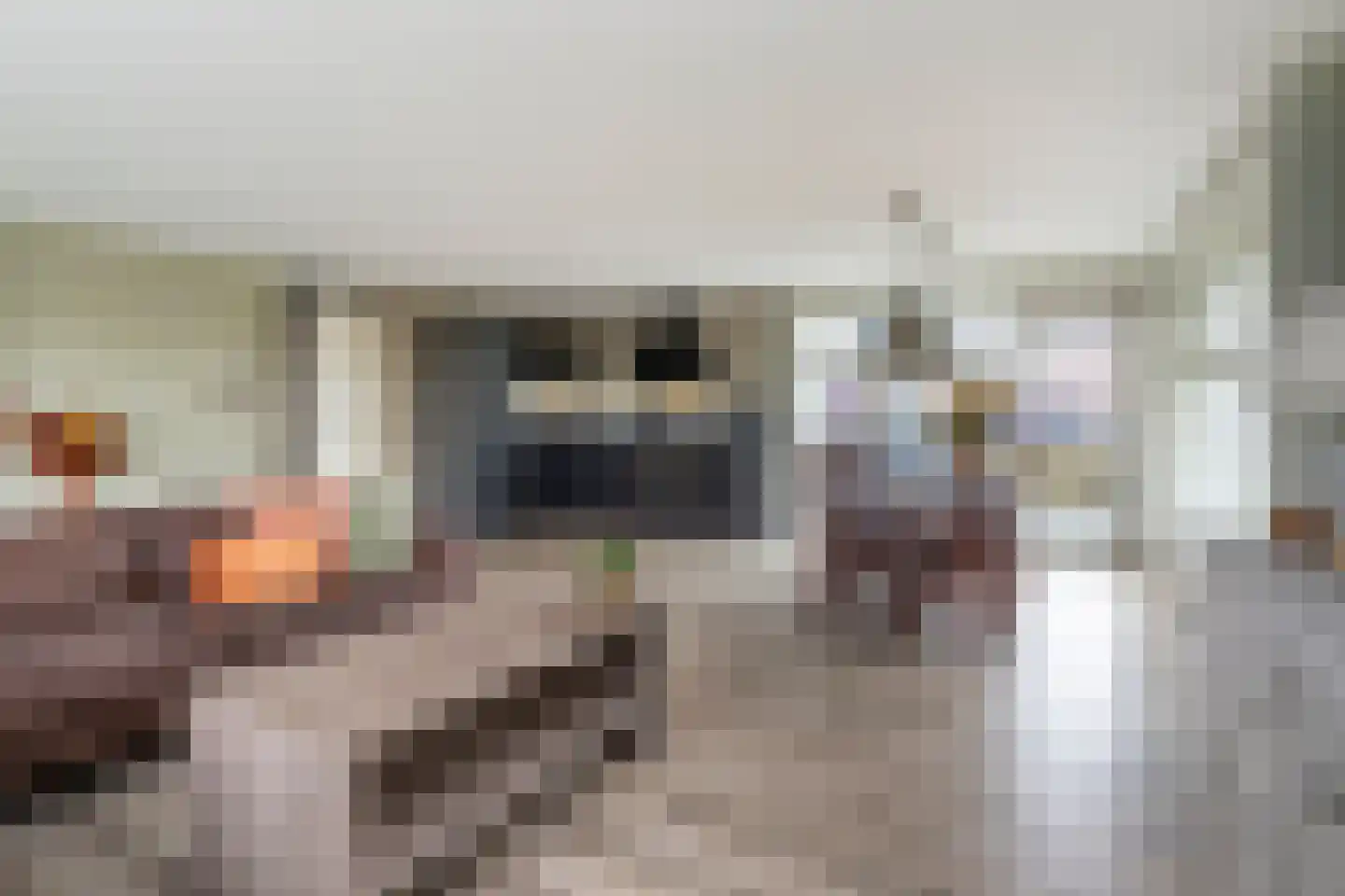 Fie Carelsenlaan 10 Den Haag thumbnail 9