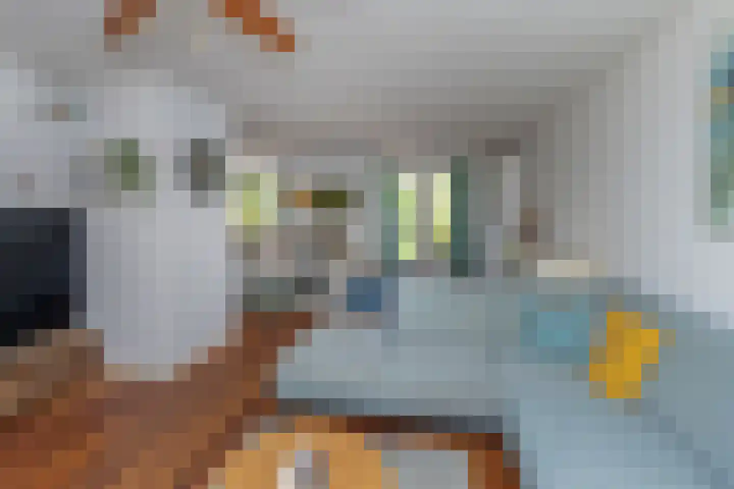 Fie Carelsenlaan 102 Den Haag thumbnail 10
