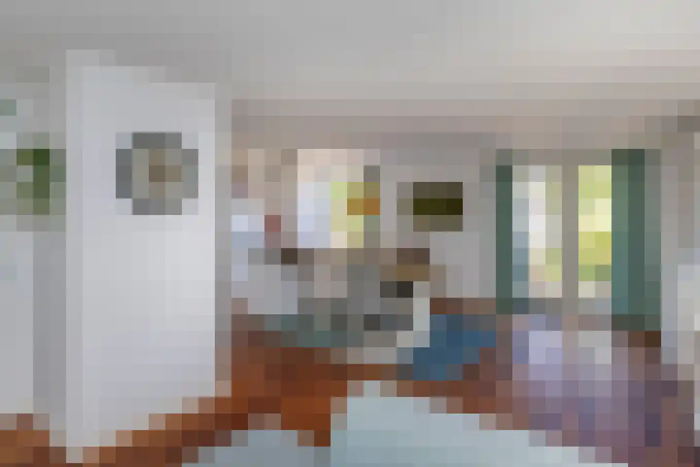 Fie Carelsenlaan 102 Den Haag thumbnail 11