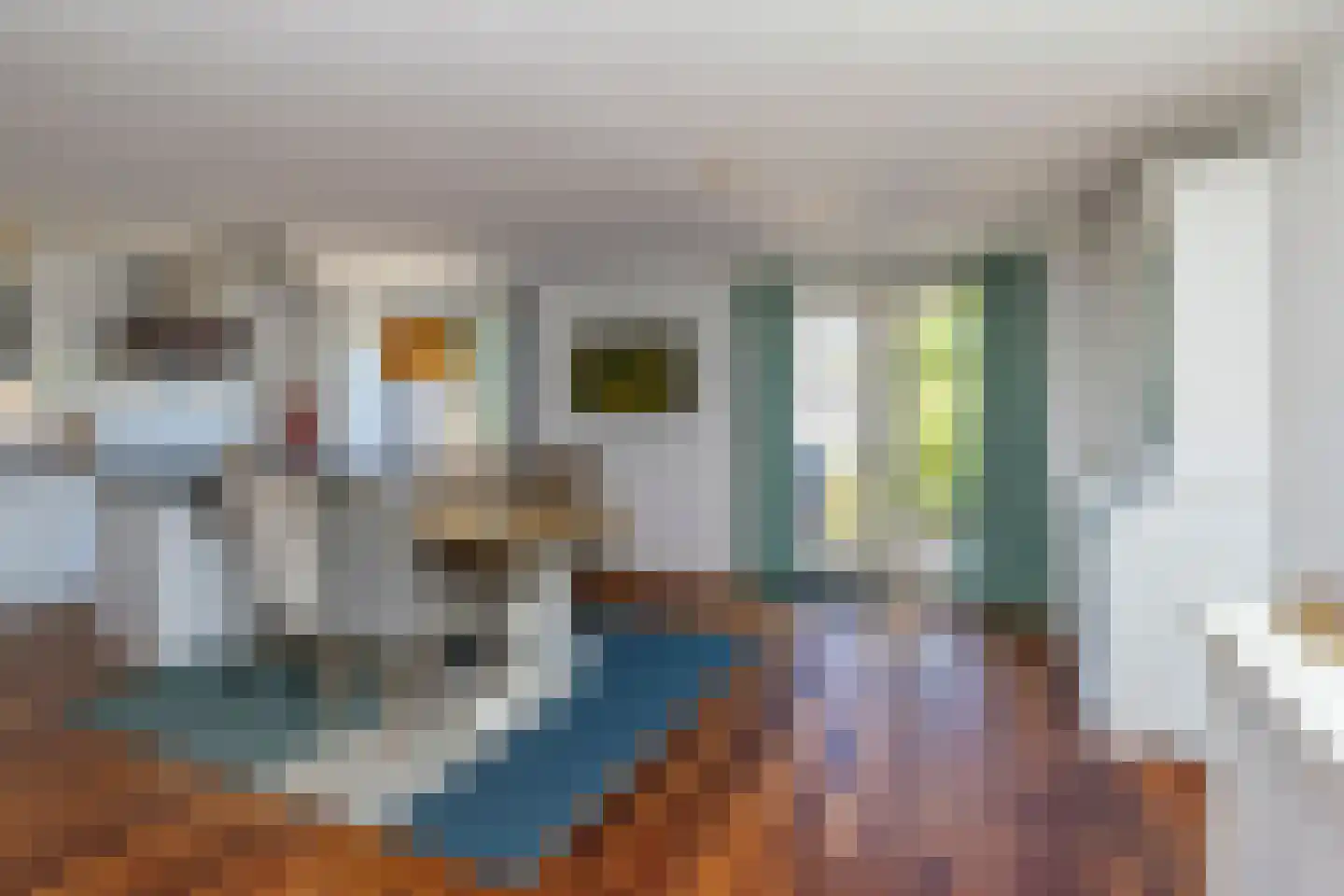 Fie Carelsenlaan 102 Den Haag thumbnail 12