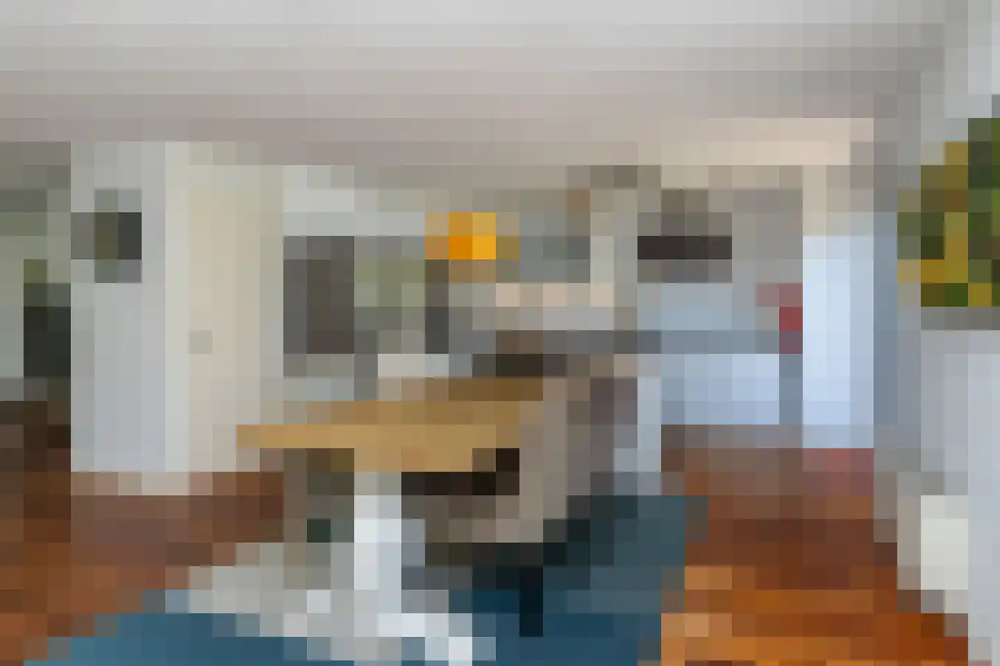 Fie Carelsenlaan 102 Den Haag thumbnail 14