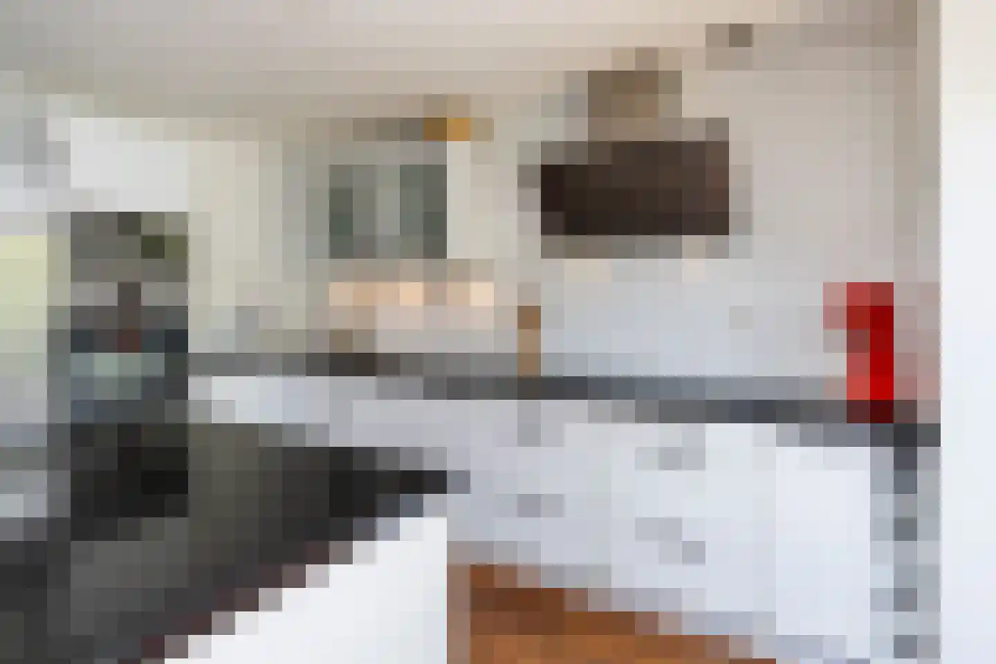 Fie Carelsenlaan 102 Den Haag thumbnail 15