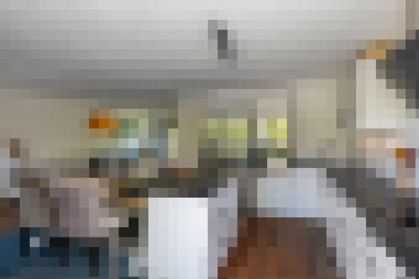 Fie Carelsenlaan 102 Den Haag thumbnail 16