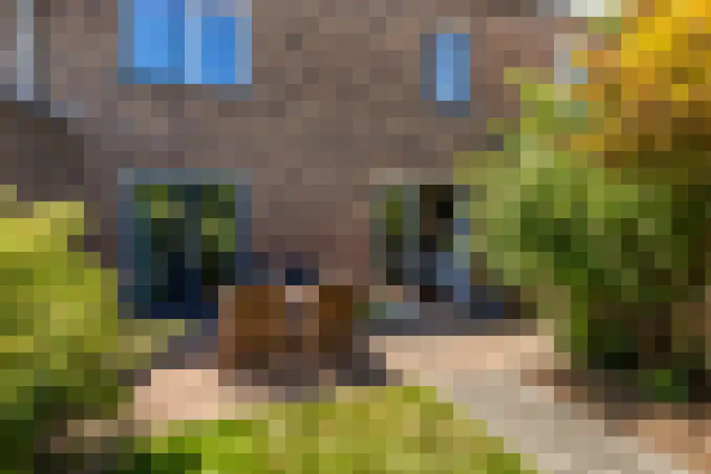 Fie Carelsenlaan 102 Den Haag thumbnail 20