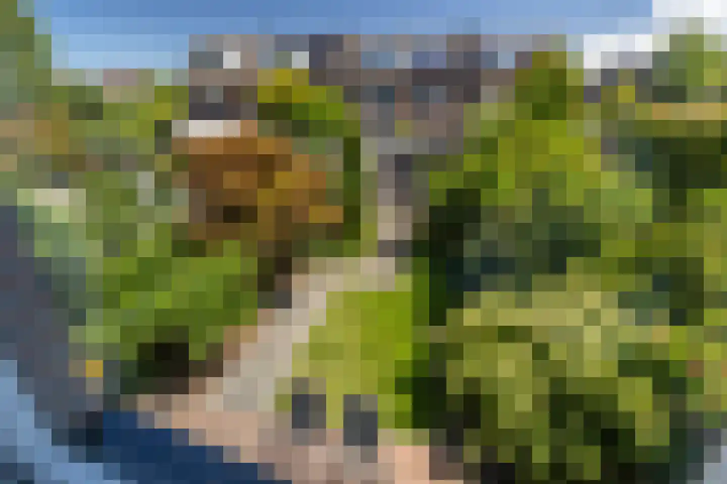 Fie Carelsenlaan 102 Den Haag thumbnail 21