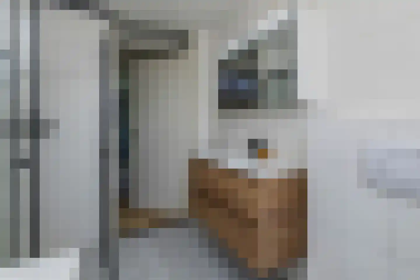 Fie Carelsenlaan 102 Den Haag thumbnail 24