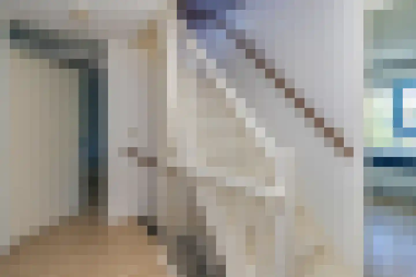 Fie Carelsenlaan 102 Den Haag thumbnail 31