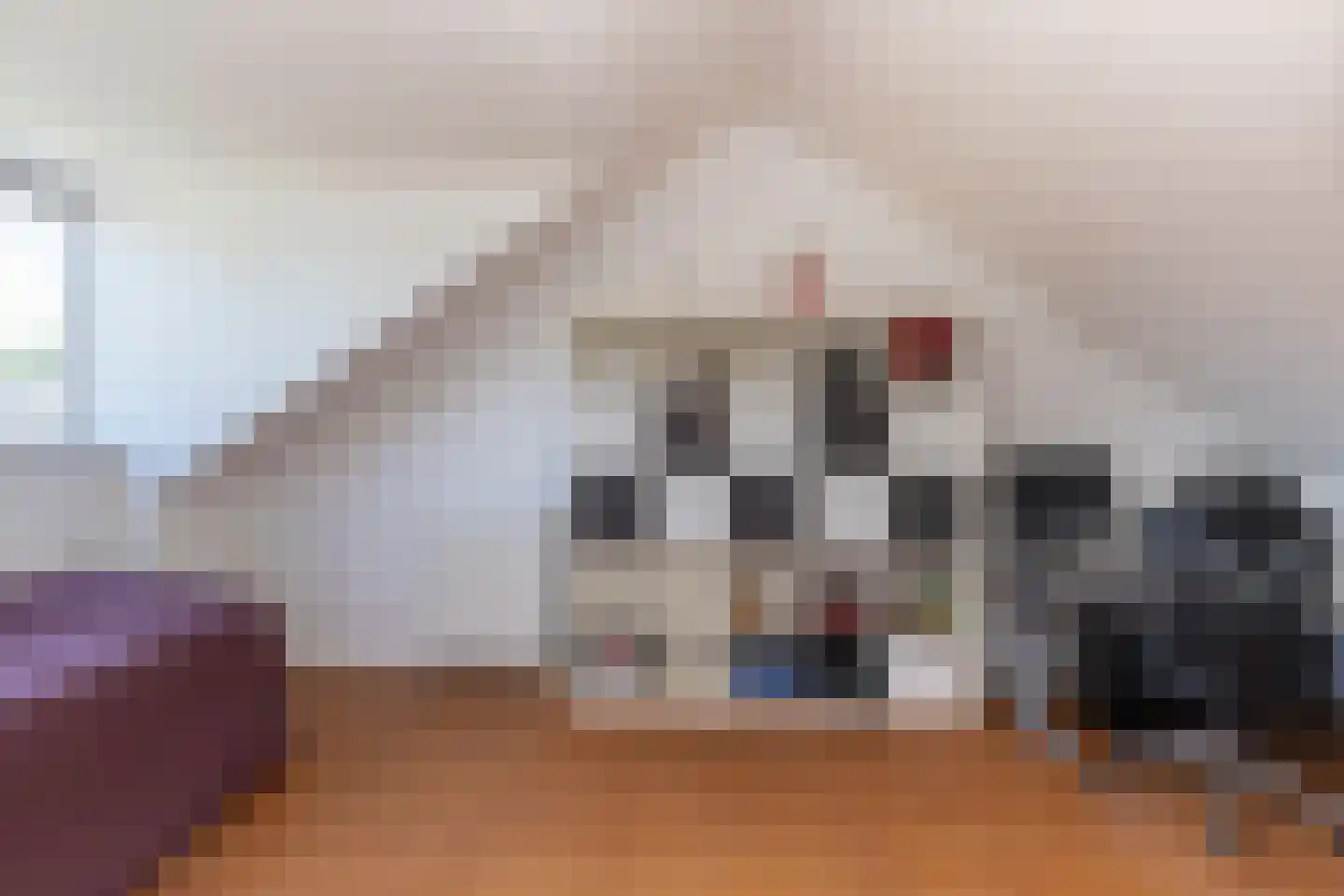 Fie Carelsenlaan 102 Den Haag thumbnail 33