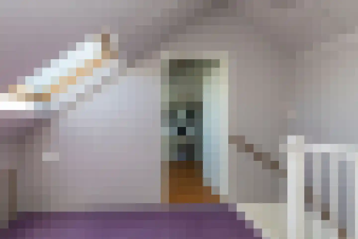Fie Carelsenlaan 102 Den Haag thumbnail 35