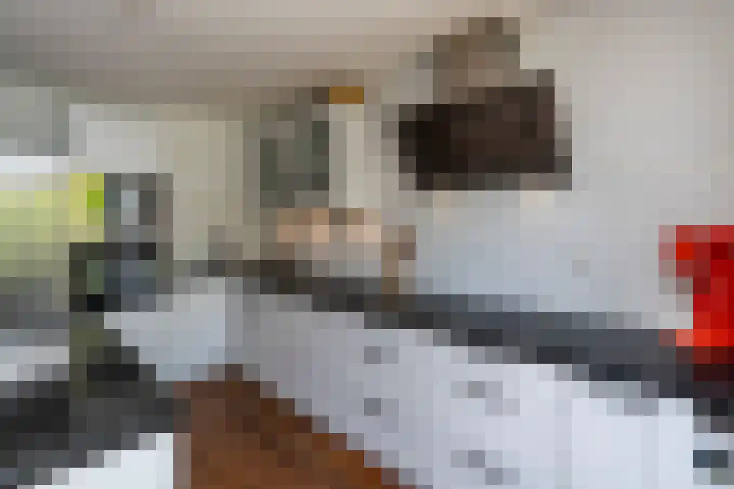 Fie Carelsenlaan 102 Den Haag thumbnail 4