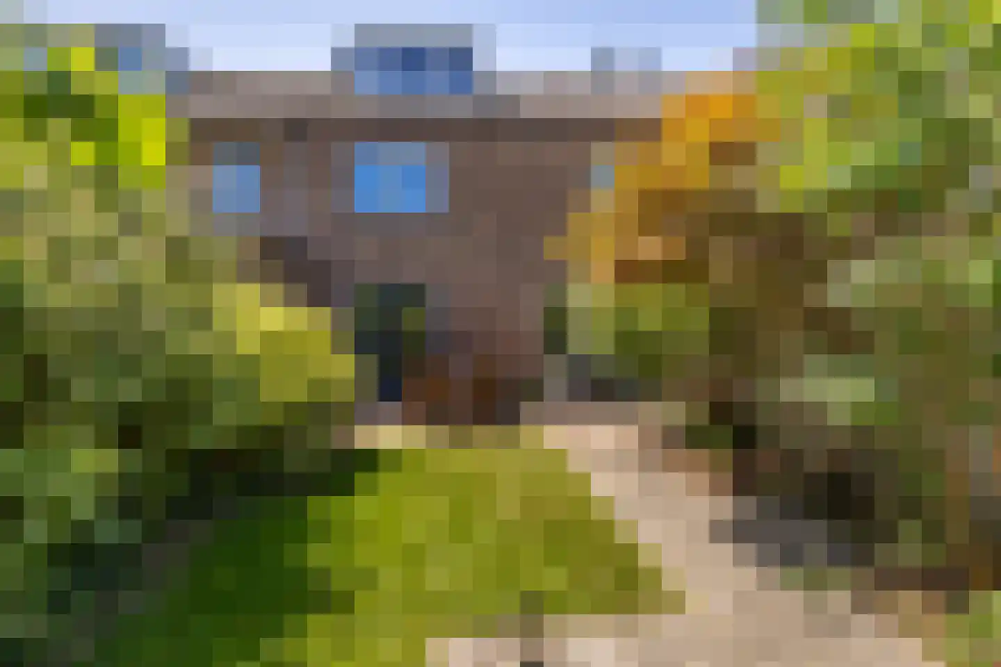 Fie Carelsenlaan 102 Den Haag thumbnail 5