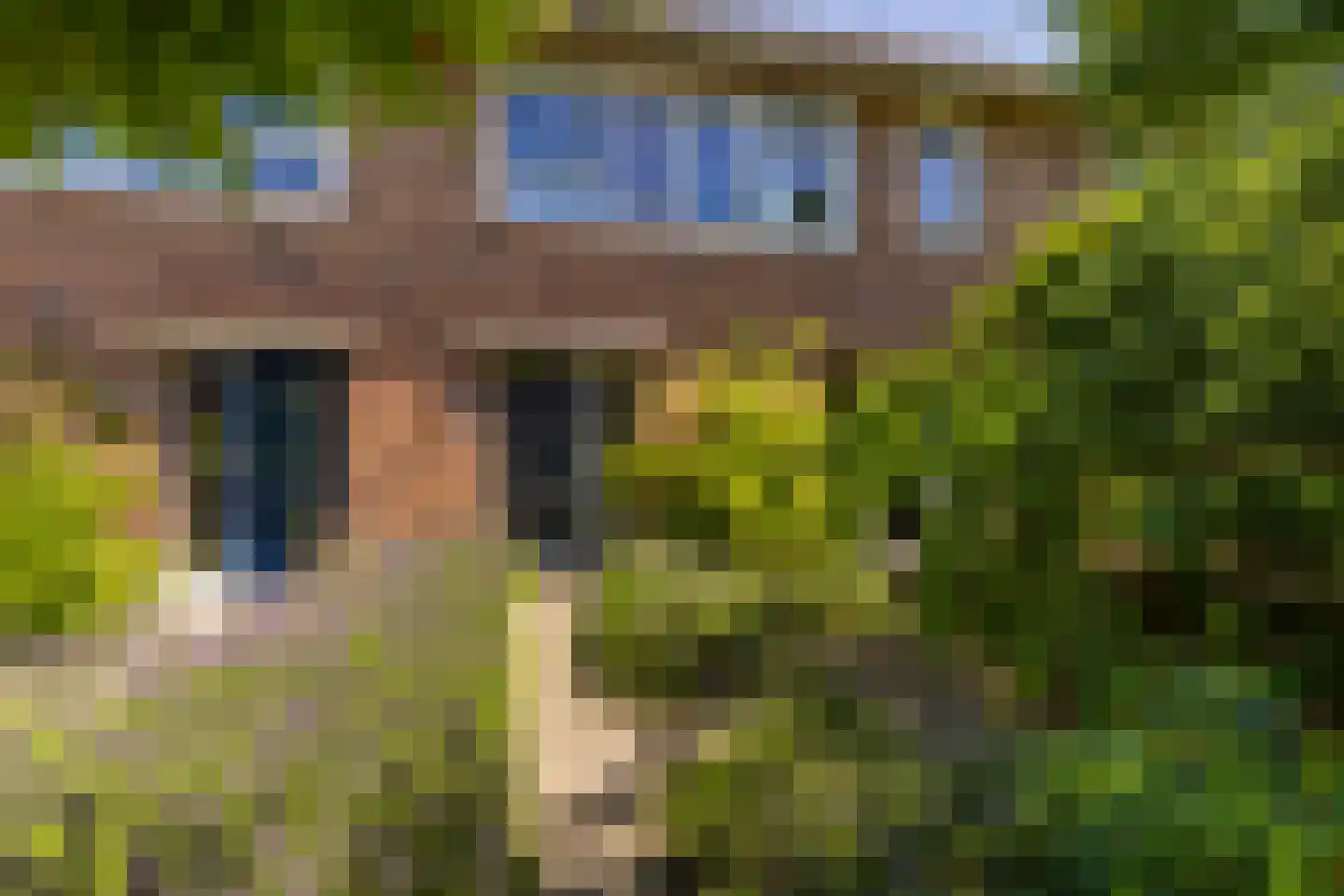 Fie Carelsenlaan 102 Den Haag thumbnail 6
