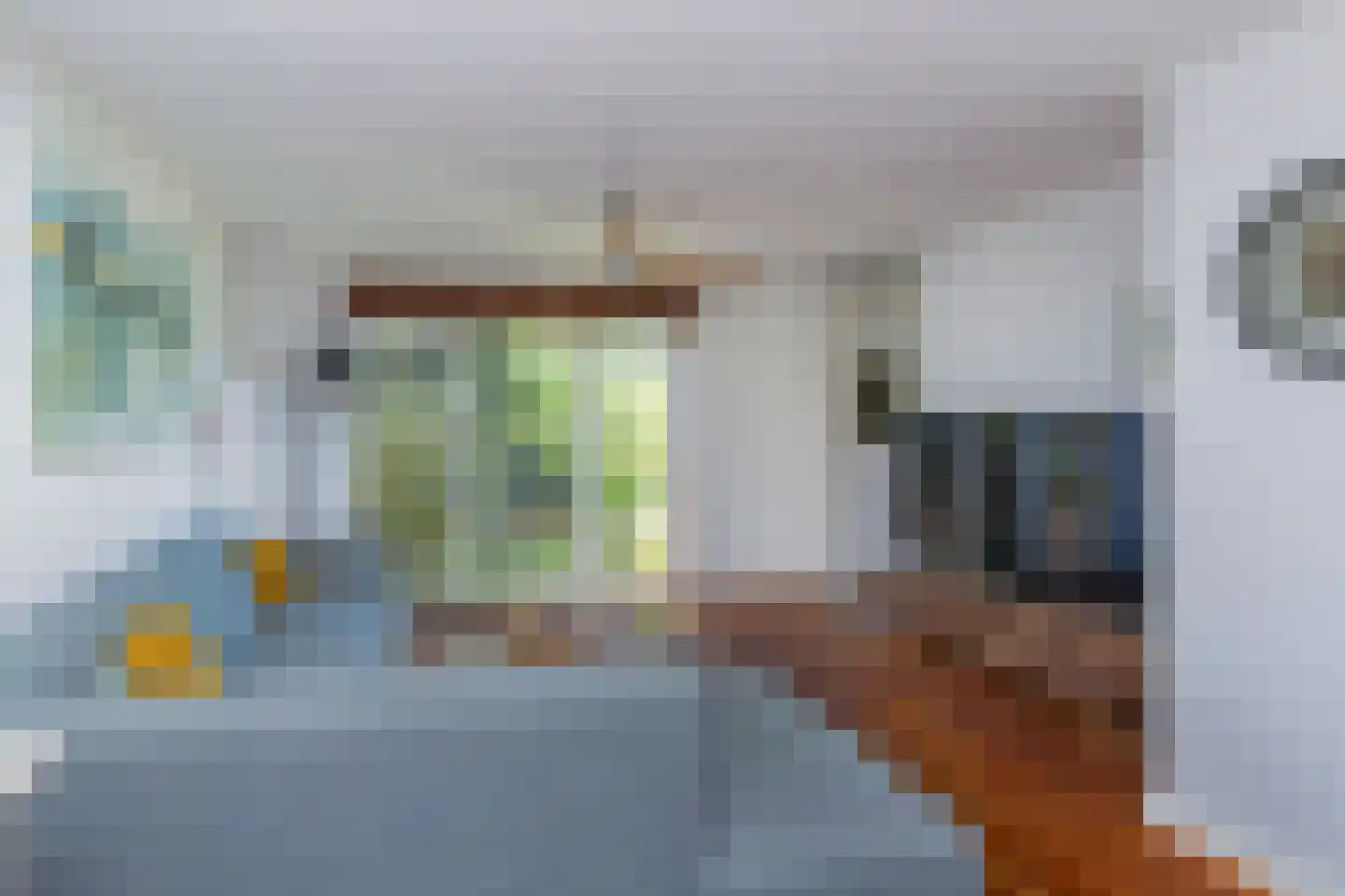 Fie Carelsenlaan 102 Den Haag thumbnail 8