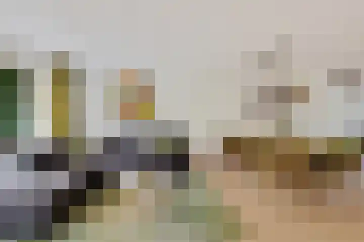 Fie Carelsenlaan 19 Den Haag thumbnail 10