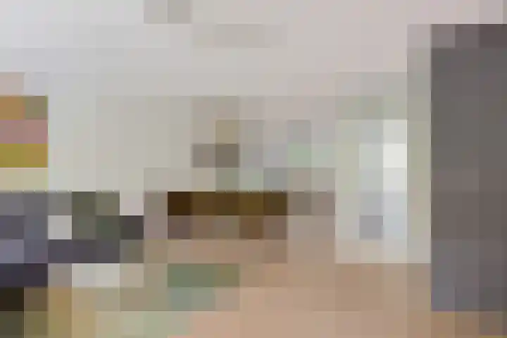 Fie Carelsenlaan 19 Den Haag thumbnail 11