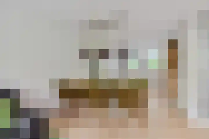 Fie Carelsenlaan 19 Den Haag thumbnail 12