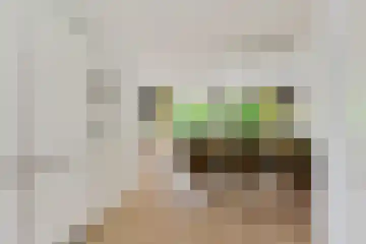 Fie Carelsenlaan 19 Den Haag thumbnail 13