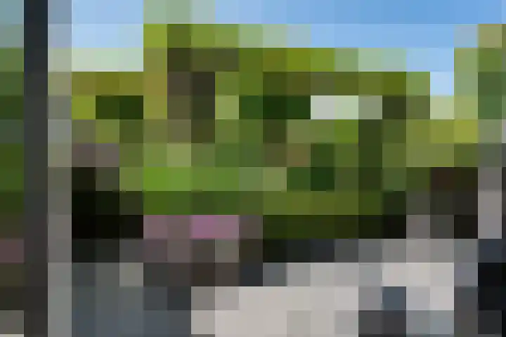 Fie Carelsenlaan 19 Den Haag thumbnail 14