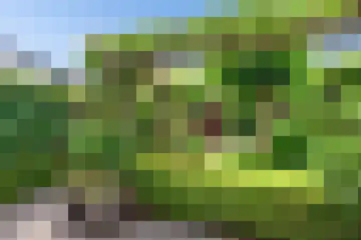 Fie Carelsenlaan 19 Den Haag thumbnail 15