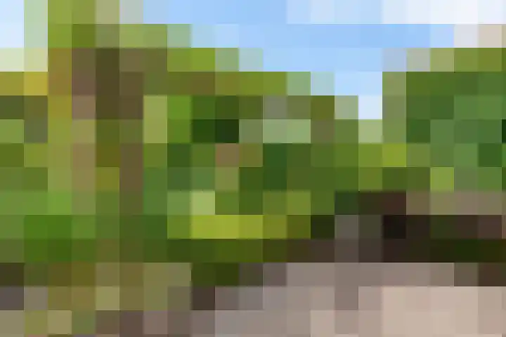 Fie Carelsenlaan 19 Den Haag thumbnail 16