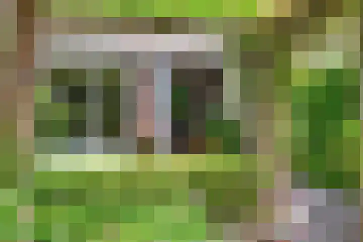 Fie Carelsenlaan 19 Den Haag thumbnail 18