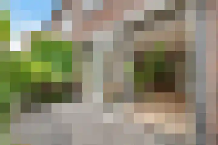 Fie Carelsenlaan 19 Den Haag thumbnail 19