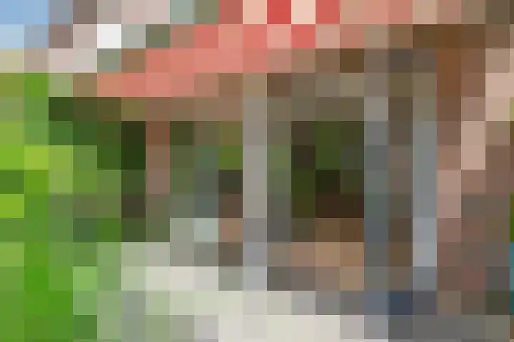 Fie Carelsenlaan 19 Den Haag thumbnail 20