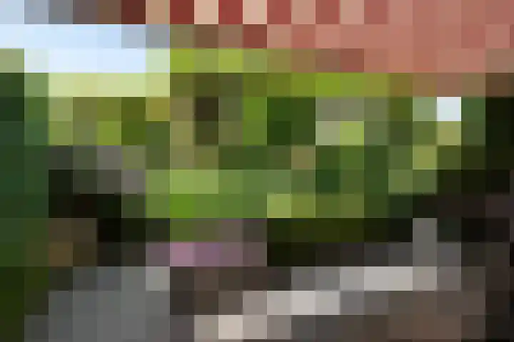 Fie Carelsenlaan 19 Den Haag thumbnail 21