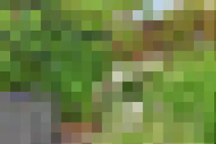 Fie Carelsenlaan 19 Den Haag thumbnail 22