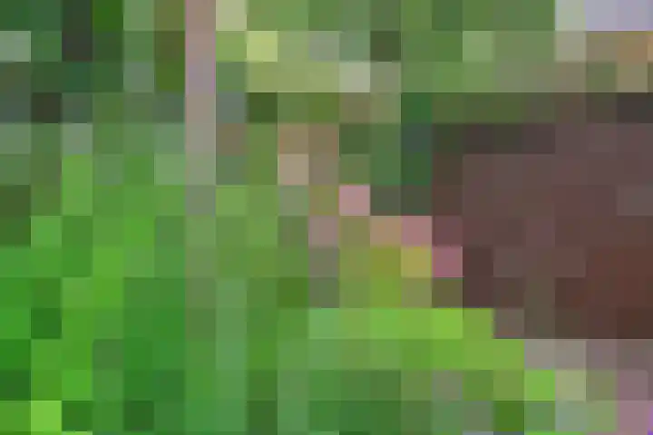 Fie Carelsenlaan 19 Den Haag thumbnail 23