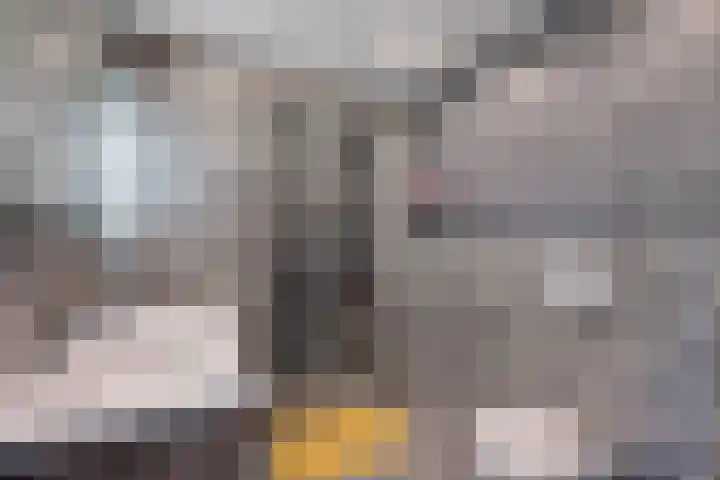 Fie Carelsenlaan 19 Den Haag thumbnail 31