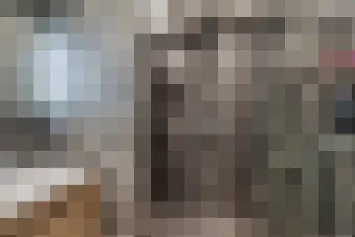 Fie Carelsenlaan 19 Den Haag thumbnail 32
