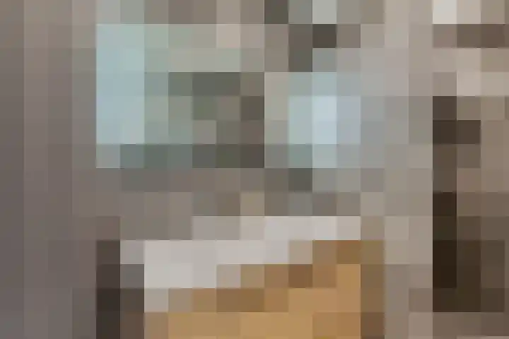 Fie Carelsenlaan 19 Den Haag thumbnail 33