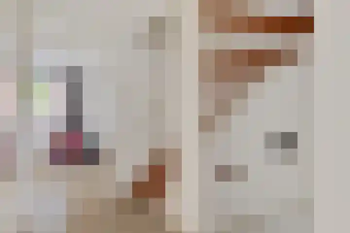 Fie Carelsenlaan 19 Den Haag thumbnail 34