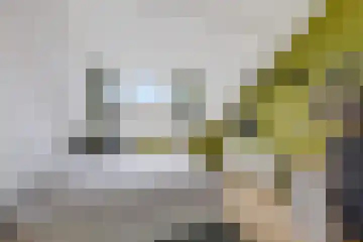 Fie Carelsenlaan 19 Den Haag thumbnail 36