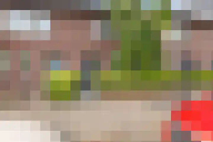 Fie Carelsenlaan 19 Den Haag thumbnail 39