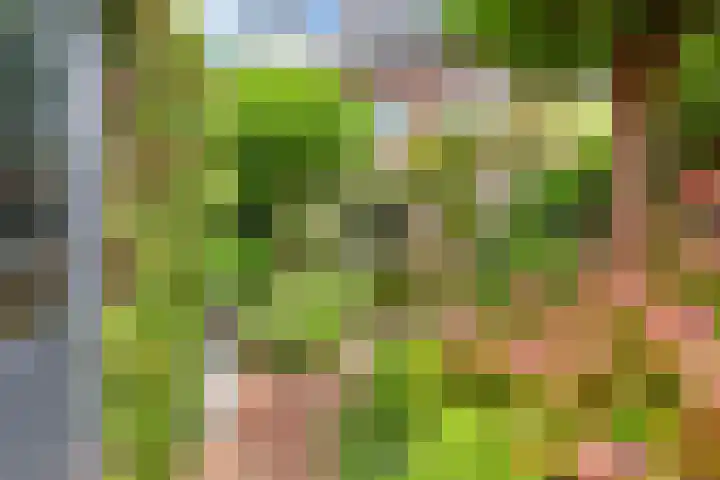 Fie Carelsenlaan 19 Den Haag thumbnail 4