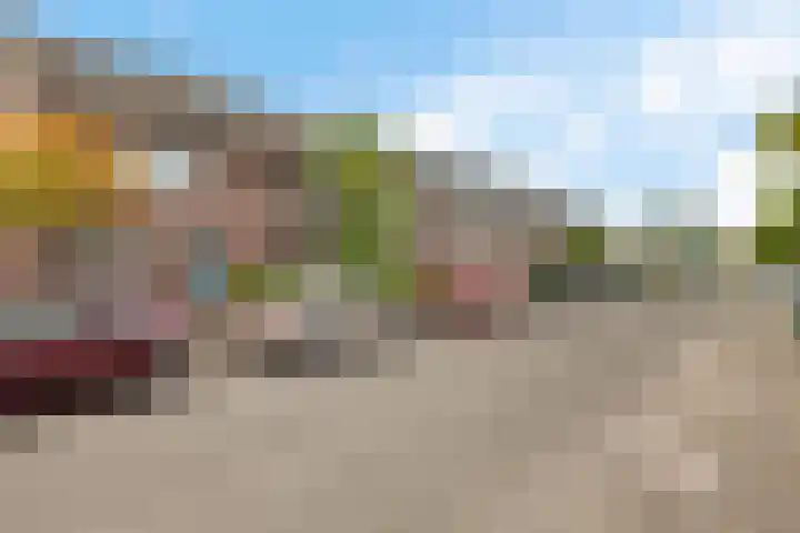Fie Carelsenlaan 19 Den Haag thumbnail 41