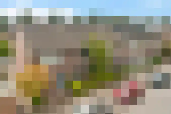 Fie Carelsenlaan 19 Den Haag thumbnail 42