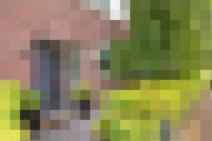 Fie Carelsenlaan 19 Den Haag thumbnail 5