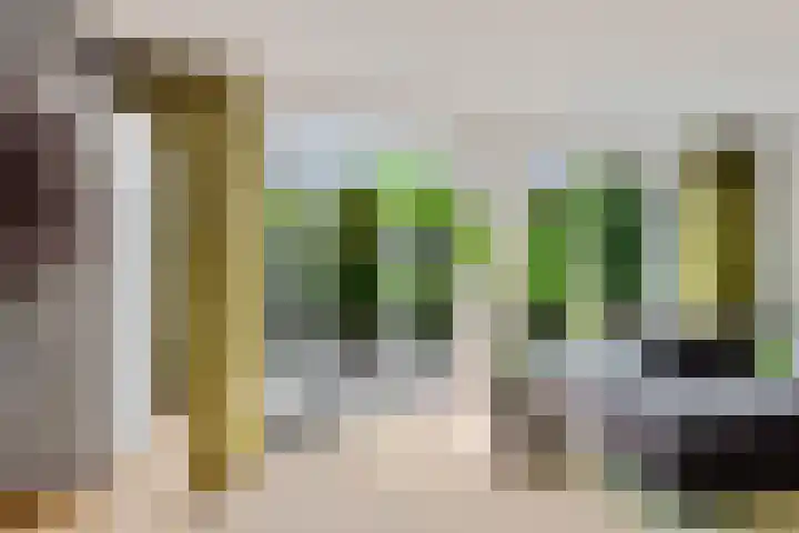 Fie Carelsenlaan 19 Den Haag thumbnail 8
