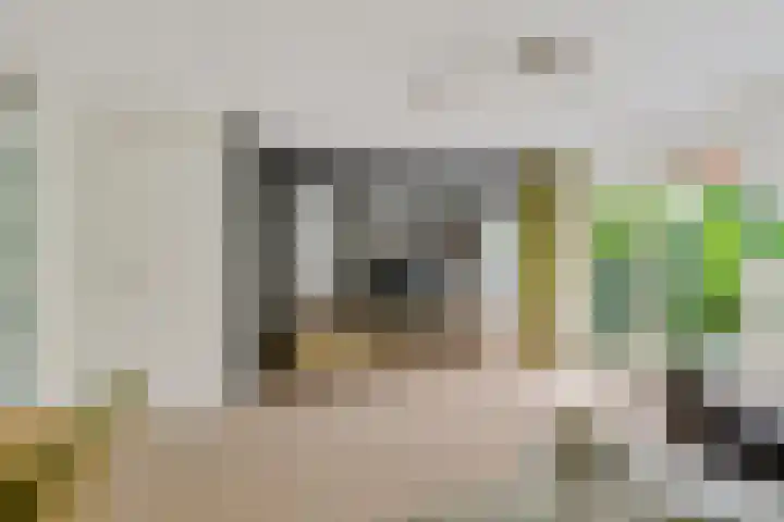 Fie Carelsenlaan 19 Den Haag thumbnail 9